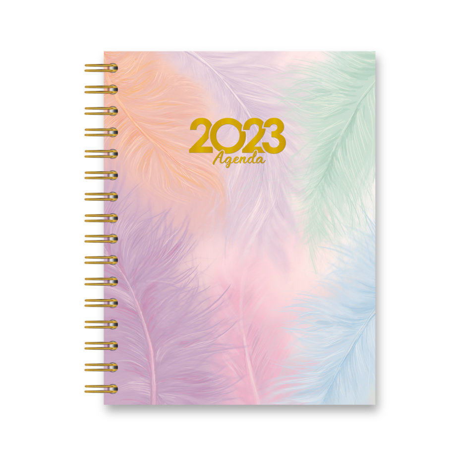 Agenda Lia